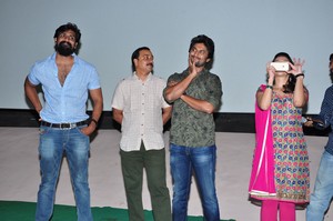 Krishna Gadi Veera Prema Gaadha success tour Nizam